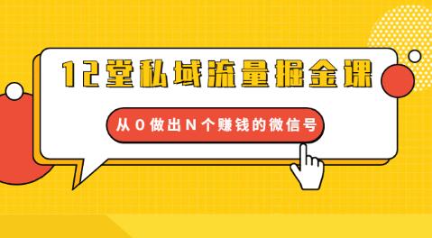 2堂私域流量掘金课：打通私域４大关卡，从０做出Ｎ个赚钱的微信号"