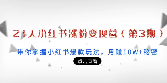 1天小红书涨粉变现营（第3期）：带你掌握小红书爆款玩法，月赚10W+秘密"