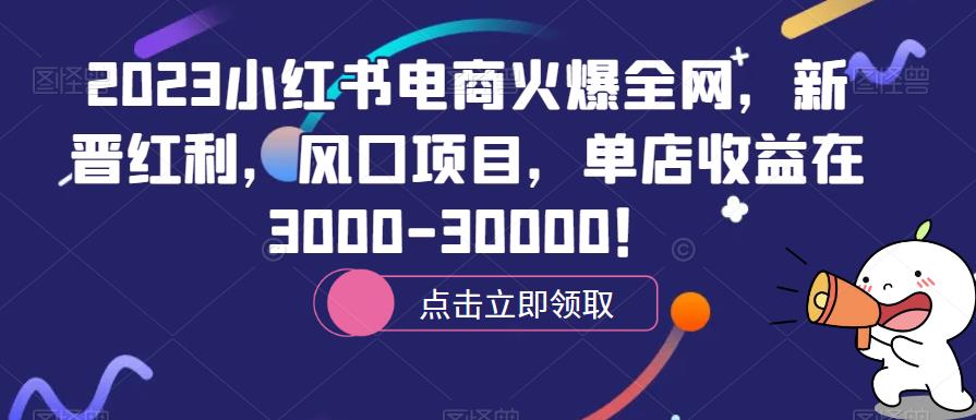 023小红书电商火爆全网，新晋红利，风口项目，单店收益在3000-30000！"