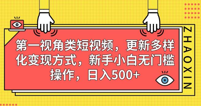 第一视角类短视频，更新多样化变现方式，新手小白无门槛操作，日入500+【揭秘】