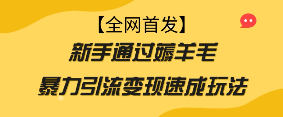 【全网首发】新手通过薅羊毛暴力引流变现速成玩法