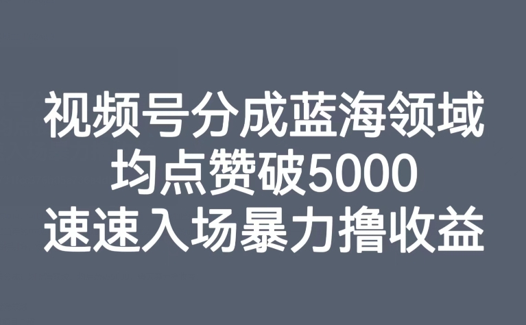 视频号分成蓝海领域，均点赞破5000，速速入场暴力撸收益