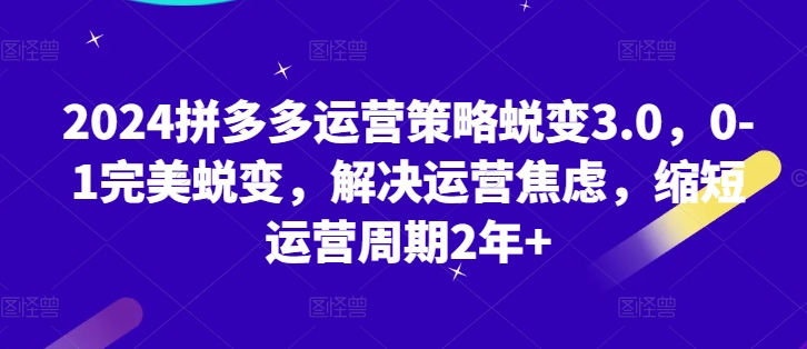 024拼多多运营策略蜕变3.0，0-1完美蜕变，解决运营焦虑，缩短运营周期2年+"