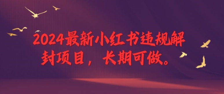 024最新小红书违规解封项目，长期可做，一个可以做到退休的项目【揭秘】"