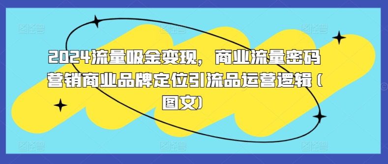 024流量吸金变现，商业流量密码营销商业品牌定位引流品运营逻辑(图文)"