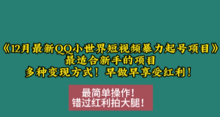 2月最新QQ小世界短视频暴力起号项目，最适合新手的项目，多种变现方式"