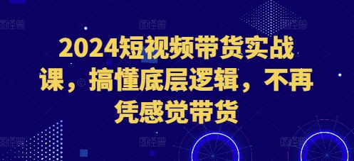 024短视频带货实战课，搞懂底层逻辑，不再凭感觉带货"