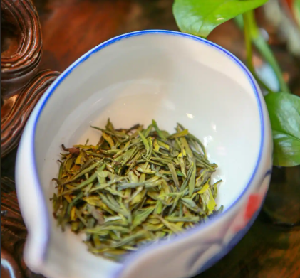 茶艺教程-鱼渣资源